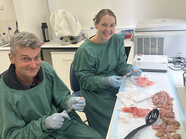 ART LAB SOLUTIONS Embryology Training Adelaide Australia